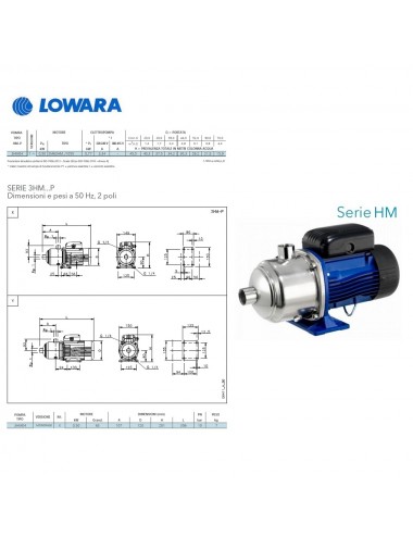 Pompa superficie Lowara centrifuga multistadio HP 0,70 KW 0,5 serie 3HM04