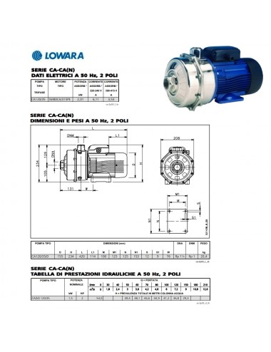 Pompa superfice Lowara centrifuga bigirante trifase HP 2 KW 1,5 serie CA120/35/D
