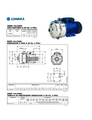 Pompa superfice Lowara centrifuga bigirante trifase HP 3 KW 2,2 serie CA120/55/D